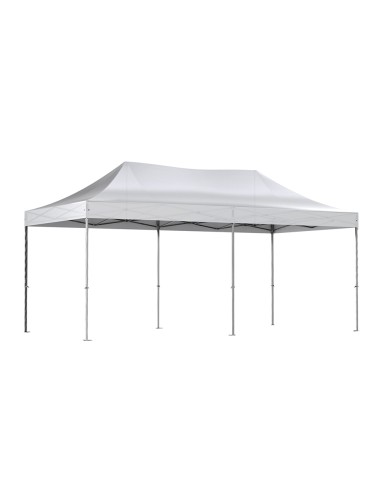 Barnum 6x3 avec toit blanc